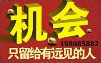 代理中的戰(zhàn)斗機(jī) hz代理小顏，助您領(lǐng)航商海新高度